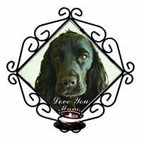 Black Cocker Spaniel 