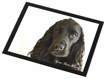 Black Cocker Spaniel 