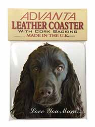 Black Cocker Spaniel 