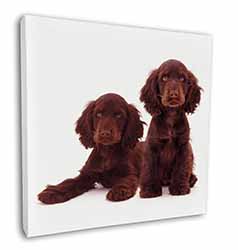 Chocolate Cocker Spaniel Dogs Square Canvas 12"x12" Wall Art Picture Print
