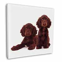 Chocolate Cocker Spaniel Dogs 12"x12" Canvas Wall Art Picture Print