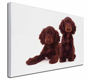 Chocolate Cocker Spaniel Dogs Canvas X-Large 30"x20" Wall Art Print
