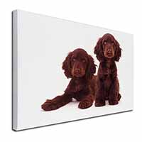 Chocolate Cocker Spaniel Dogs Canvas X-Large 30"x20" Wall Art Print