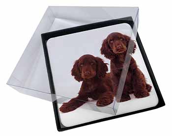 4x Chocolate Cocker Spaniel Dogs Picture Table Coasters Set in Gift Box