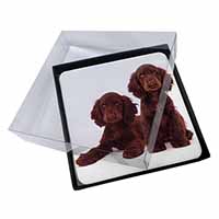 4x Chocolate Cocker Spaniel Dogs Picture Table Coasters Set in Gift Box