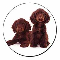 Chocolate Cocker Spaniel Dogs Fridge Magnet Printed Full Colour