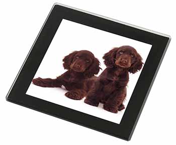 Chocolate Cocker Spaniel Dogs Black Rim High Quality Glass Coaster