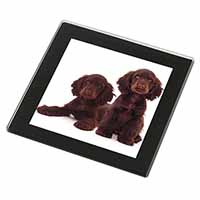 Chocolate Cocker Spaniel Dogs Black Rim High Quality Glass Coaster