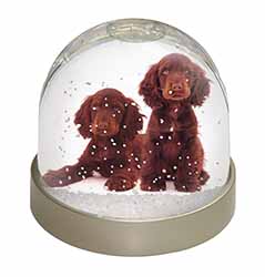 Chocolate Cocker Spaniel Dogs Snow Globe Photo Waterball