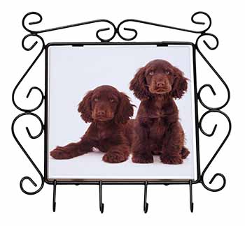 Chocolate Cocker Spaniel Dogs Wrought Iron Key Holder Hooks