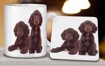 Chocolate Cocker Spaniel Dogs Mug and Coaster Set