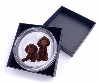 Chocolate Cocker Spaniel Dogs Glass Paperweight in Gift Box