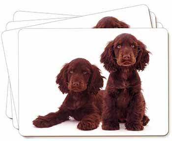 Chocolate Cocker Spaniel Dogs Picture Placemats in Gift Box