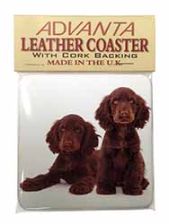 Chocolate Cocker Spaniel Dogs Single Leather Photo Coaster
