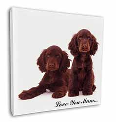 Chocolate Cocker Spaniels 