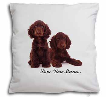 Chocolate Cocker Spaniels 