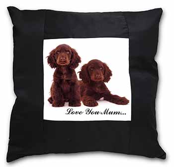 Chocolate Cocker Spaniels 