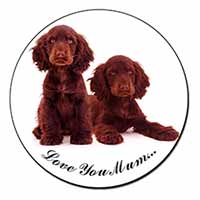 Chocolate Cocker Spaniels 