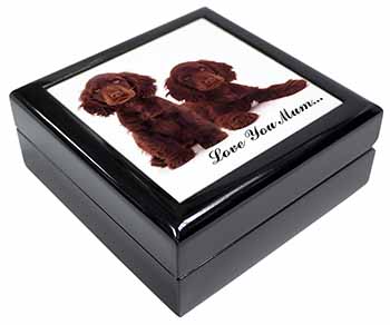 Chocolate Cocker Spaniels 