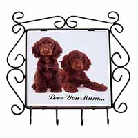 Chocolate Cocker Spaniels 