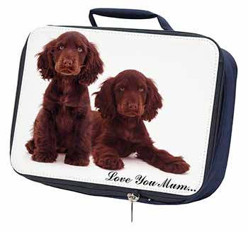 Chocolate Cocker Spaniels 