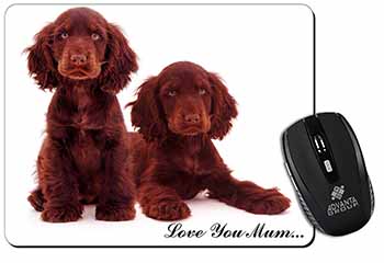 Chocolate Cocker Spaniels 