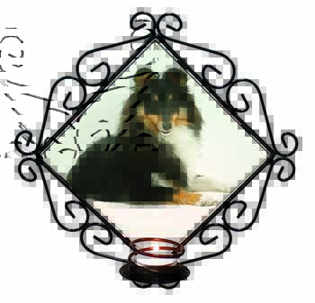 Tri-Col Sheltie Dog Wrought Iron Wall Art Candle Holder