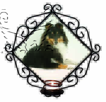 Tri-Col Sheltie Dog Wrought Iron Wall Art Candle Holder