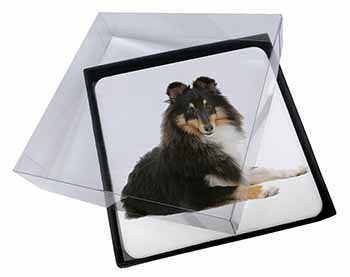 4x Tri-Col Sheltie Dog Picture Table Coasters Set in Gift Box