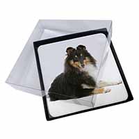 4x Tri-Col Sheltie Dog Picture Table Coasters Set in Gift Box