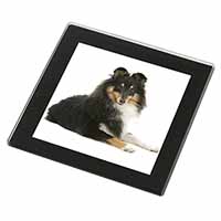 Tri-Col Sheltie Dog Black Rim High Quality Glass Coaster