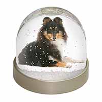 Tri-Col Sheltie Dog Snow Globe Photo Waterball