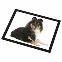 Tri-Col Sheltie Dog Black Rim High Quality Glass Placemat