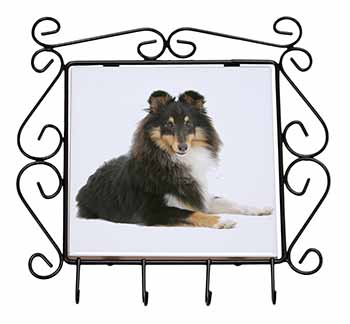 Tri-Col Sheltie Dog Wrought Iron Key Holder Hooks