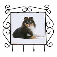 Tri-Col Sheltie Dog Wrought Iron Key Holder Hooks