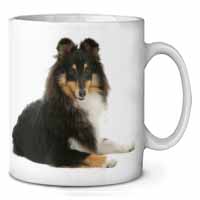 Tri-Col Sheltie Dog Ceramic 10oz Coffee Mug/Tea Cup