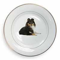 Tri-Col Sheltie Dog Gold Rim Plate Printed Full Colour in Gift Box