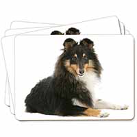 Tri-Col Sheltie Dog Picture Placemats in Gift Box