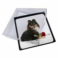 4x Tri-Col Sheltie with Red Rose Picture Table Coasters Set in Gift Box