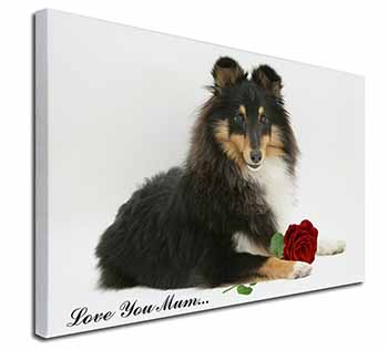 Sheltie+Rose 