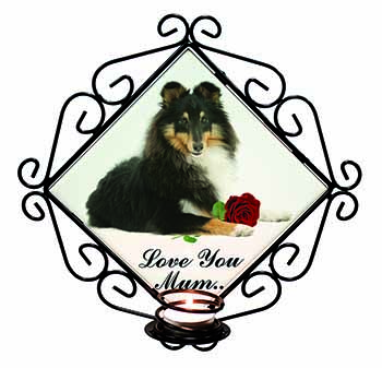 Sheltie+Rose 