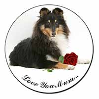 Sheltie+Rose 