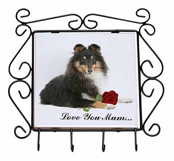 Sheltie+Rose 