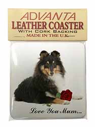 Sheltie+Rose 