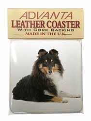 Tri-Col Sheltie Dog Single Leather Photo Coaster