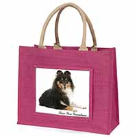 Sheltie Dog 