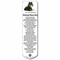 Sheltie Dog 