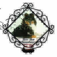 Sheltie Dog 