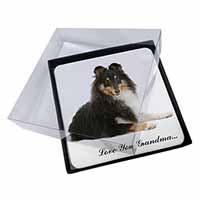4x Sheltie Dog 