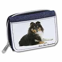 Sheltie Dog 